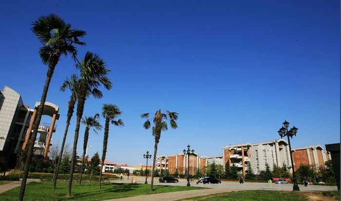 郑州大学西亚斯国际学院好不好是几本院校?含金量高吗?学费多少?
