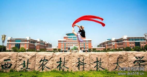 最适合捡漏的6所985高校你知道吗?985大学中最差的是哪所揭秘
