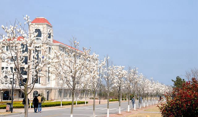 青岛港湾职业技术学院是几本公办还是民办?最好专业什么?学费多少