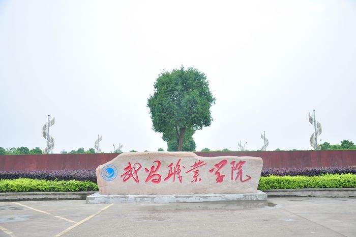 武昌职业学院好不好是本科吗?公办还是民办?宿舍环境如何学费多少