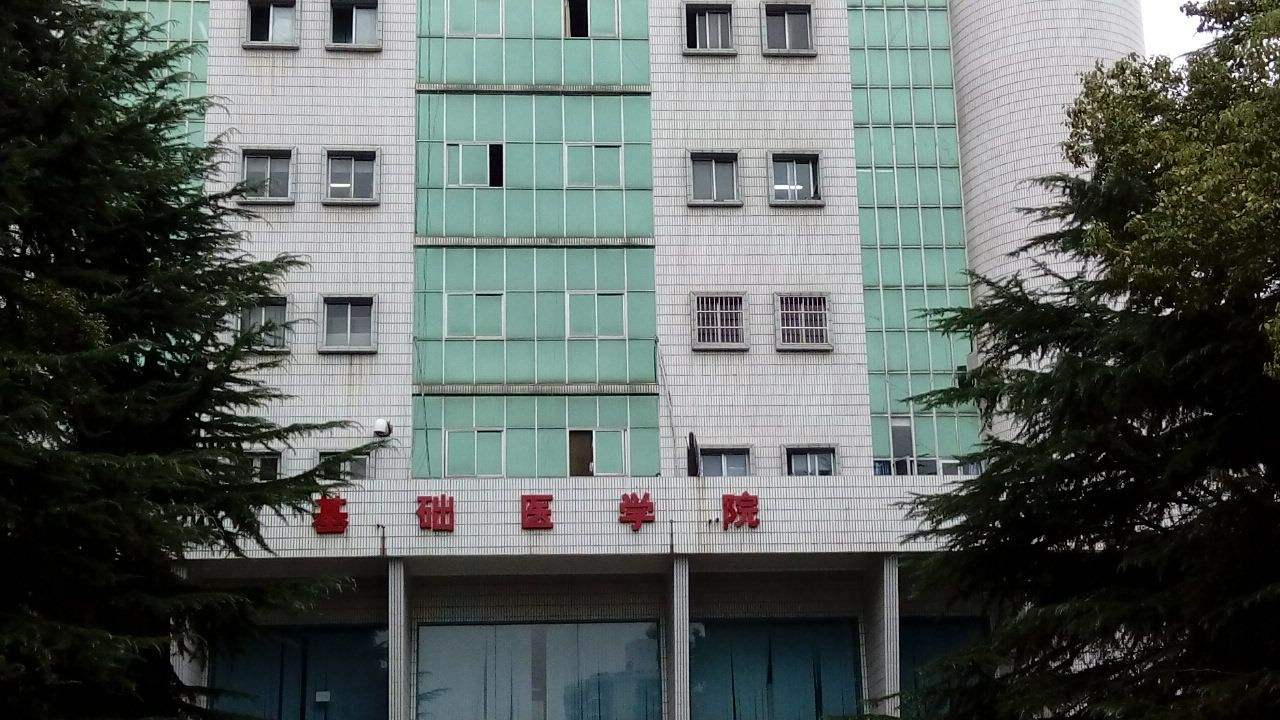武汉大学医学职业技术学院是几本?怎么样?排名第几?好就业吗?