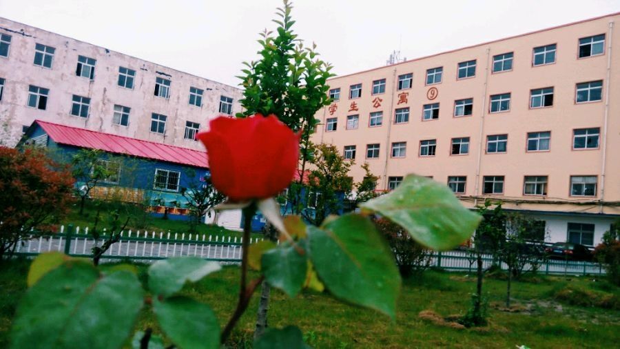 郑州电力职业技术学院是大专吗?怎么样?好就业吗?学费