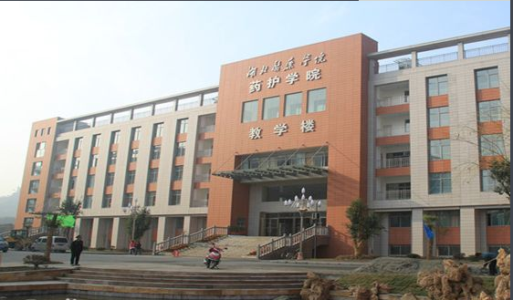 ����ҽҩѧԺҩ��ѧԺ�Ǽ����ڱ��ò��ã������ڼ���һ��ѧ�Ѷ���