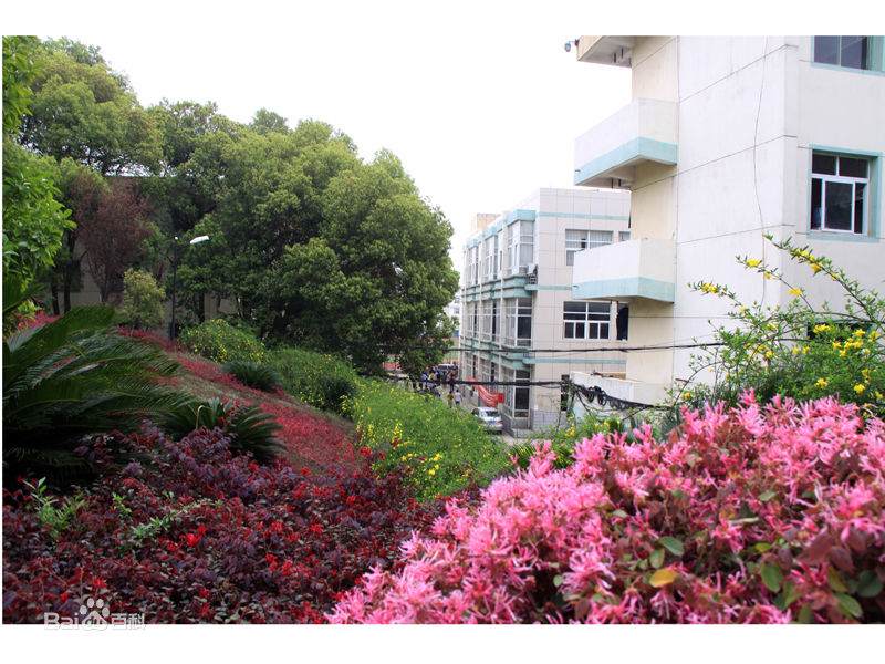 江西信息应用职业技术学院怎么样地址在哪?学费一年多少专业介绍