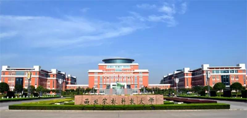 考研调剂的成功率最高的几所大学你知道吗?考研调剂有几次机会
