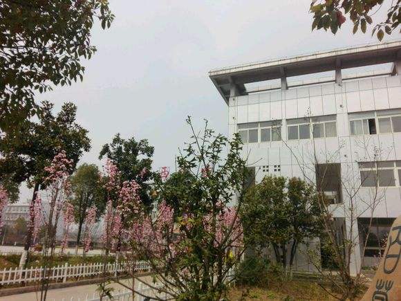 皖西卫生职业学院是大专吗?师资力量怎样?特色专业宿舍环境如何