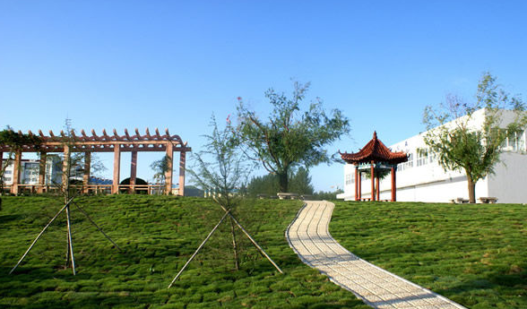 潍坊工商职业学院怎么样是公办的吗师资条件?学费高吗?特色专业