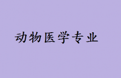 ҽѧоҪбҪ𣿶ҽѧǰŮ
