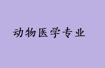 动物医学研究生要读几年有必要吗?动物医学前景如何女生合适吗