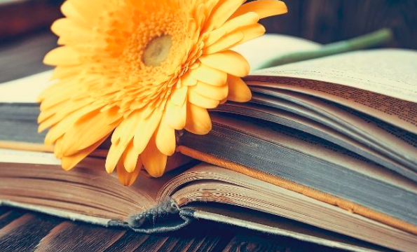 �Կ�ר������Щרҵ��������Σ��Կ�ר����ÿ���רҵ��Ҫ����