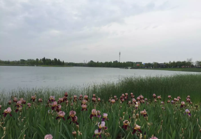 2020�����Կ�ʱ�䰲�ţ����ؽ���ʡ�Կ�����ԺУ��רҵһ������