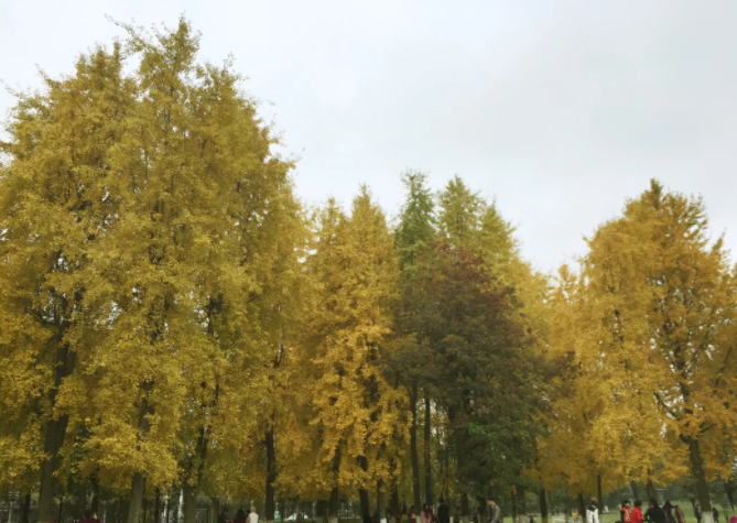 自考学历能干什么出来好找工作吗?自考学历工作会被拒绝是真的吗?