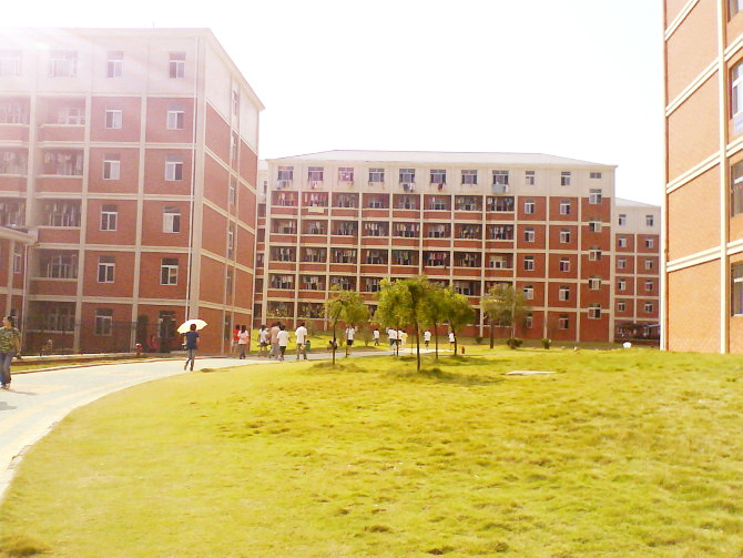 小学教师证好考吗通过率高吗?报考小学教师资格证需要什么条件?