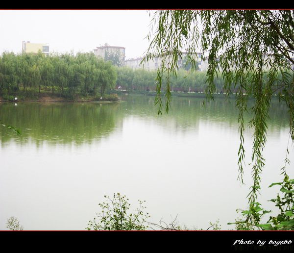 汕头大学研究生有什么专业好考吗?2019汕大研究生分数线是多少?