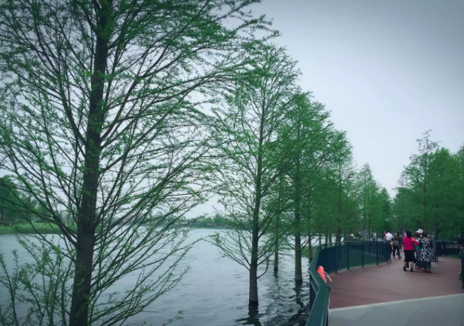 汕头大学研究生有什么专业好考吗?2019汕大研究生分数线是多少?