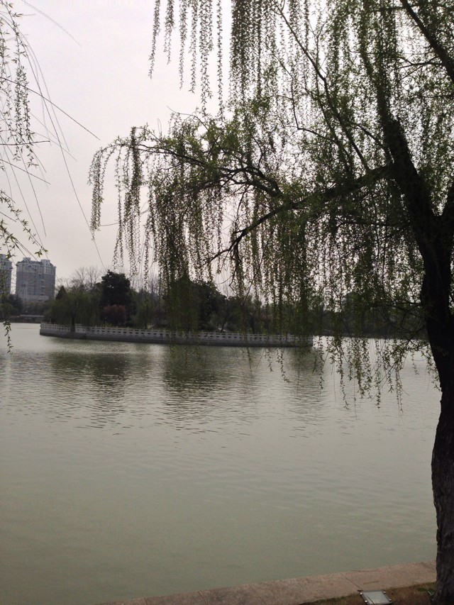 去韩国留学一年20万够吗?揭秘赴韩留学申请条件回国后好就业吗?