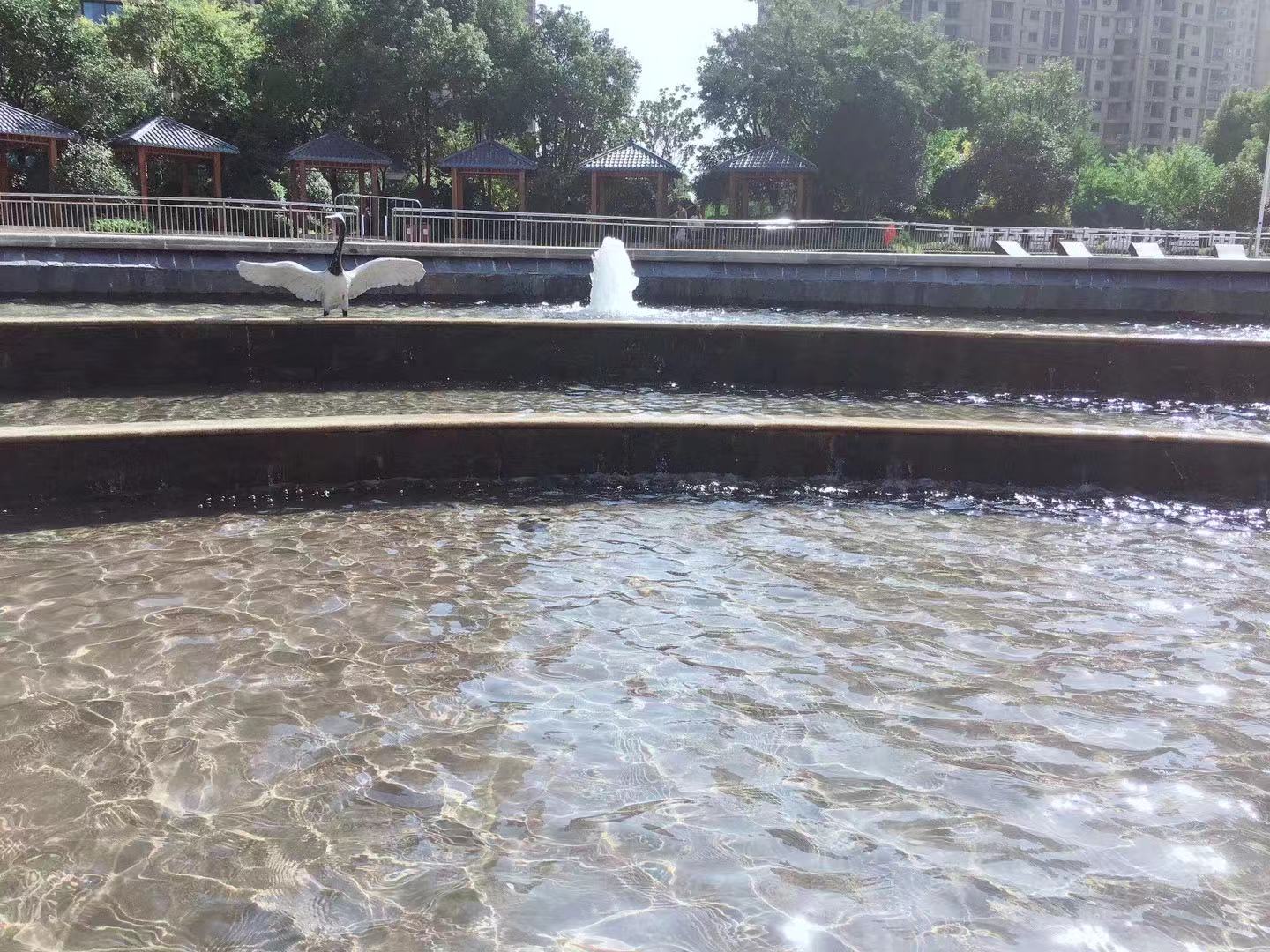新东方烹饪学校怎么样靠谱吗?一年学费多少?就业前景好不好?