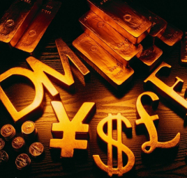 ���ڿ��п�Ŀ����Щ�������̵���ڿ��������׵�ѧУ