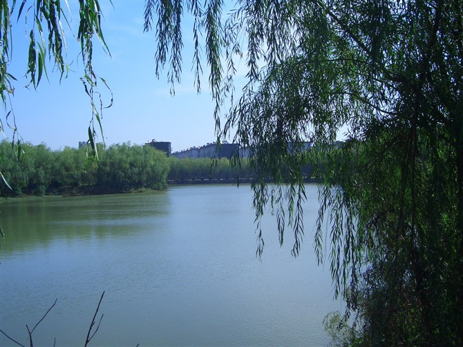 南京大学金陵学院是几本王牌专业是什么?学费贵不贵宿舍环境如何?