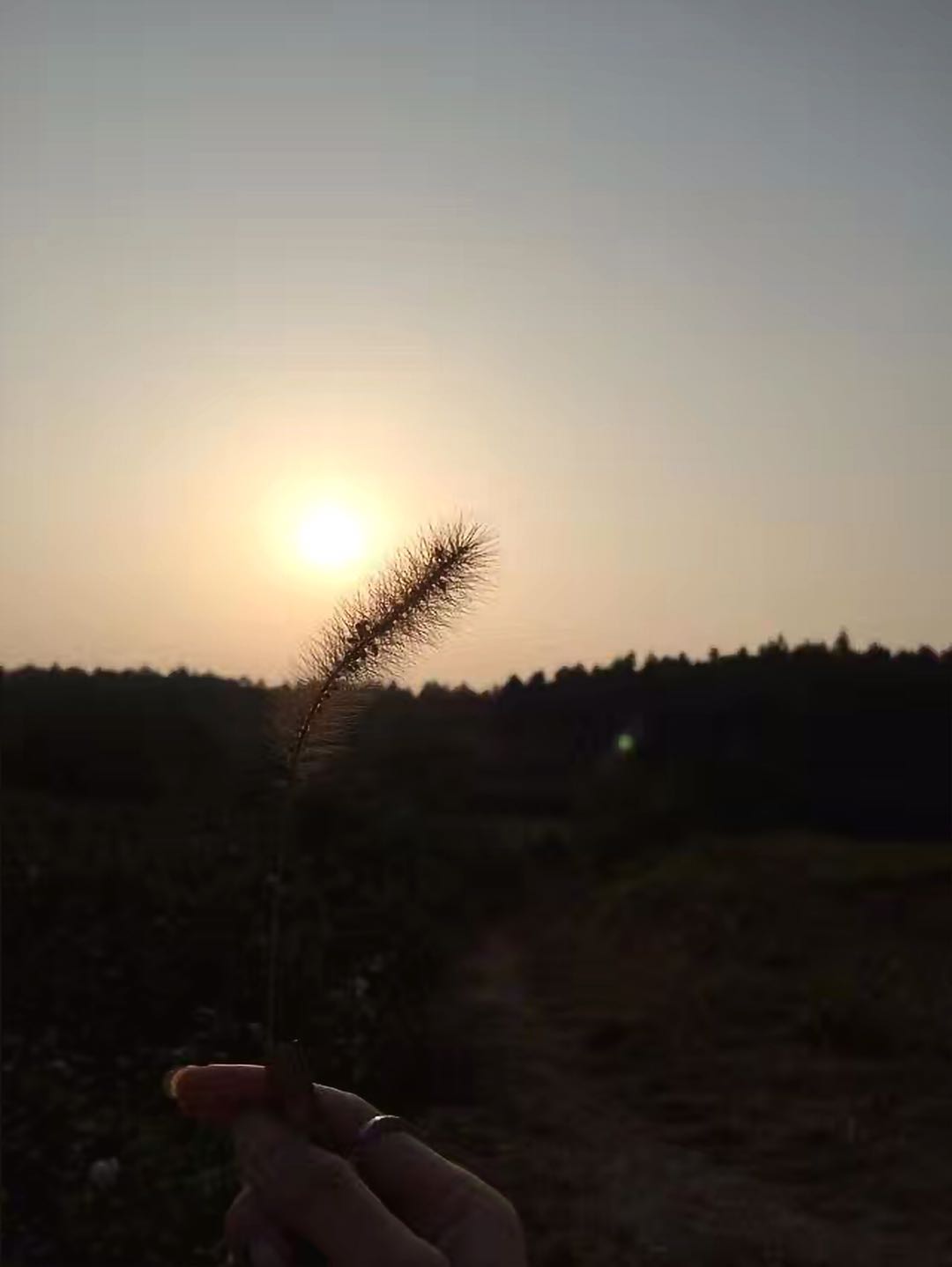 历史学考研科目有哪些?难度大吗?揭秘历史学考研最容易的院校?