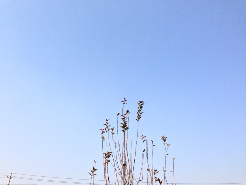 小升初军训是什么时间一般几天?小升初军训注意事项有哪些?