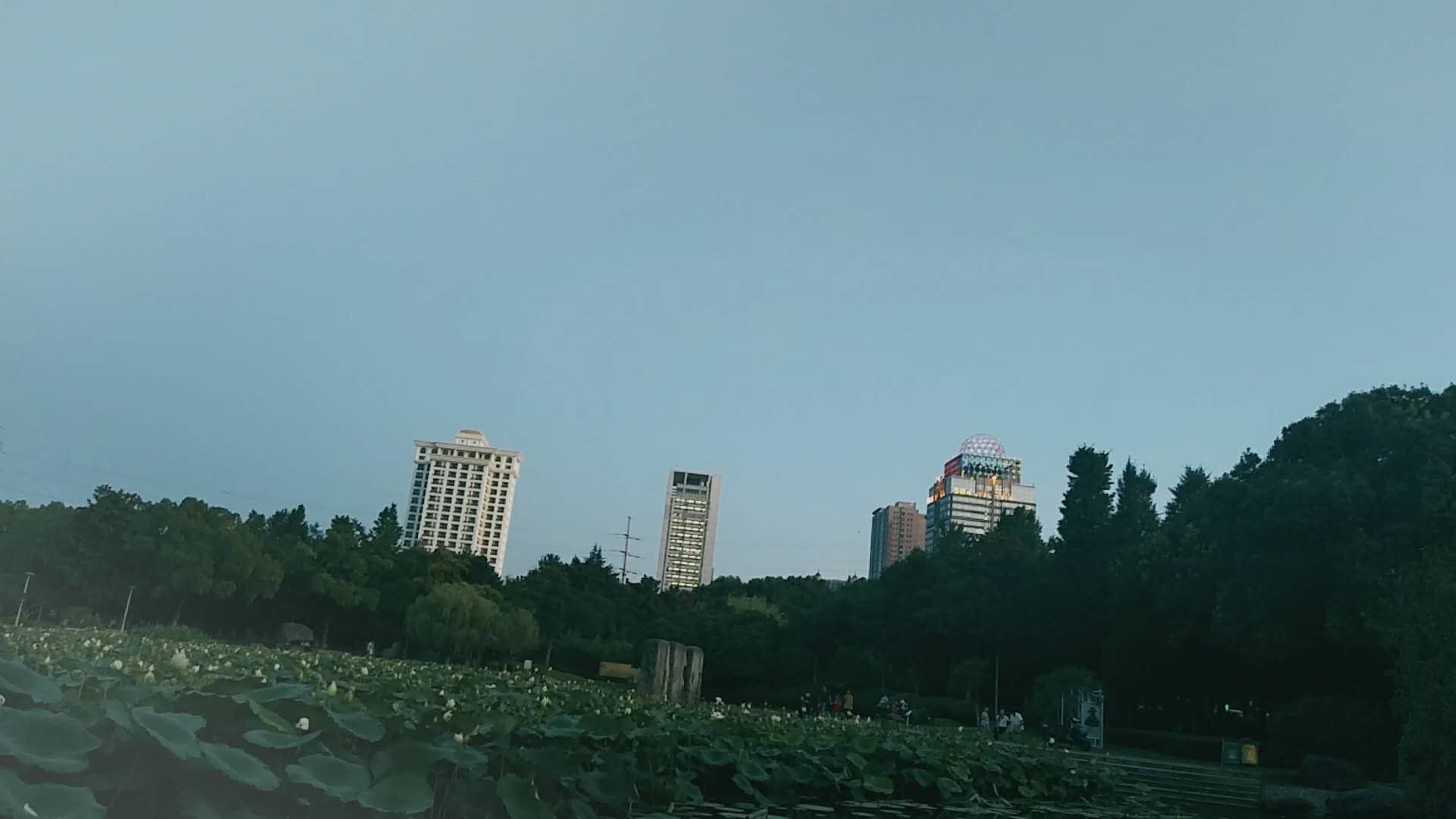 教师资格证几年审核一次?需要什么材料?审核不合格怎么办?