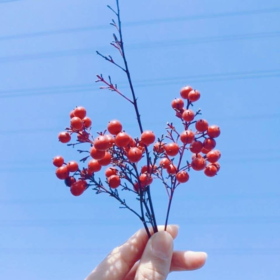计算机属于工学还是理学?工学和理学有什么区别?计算机有哪些专业