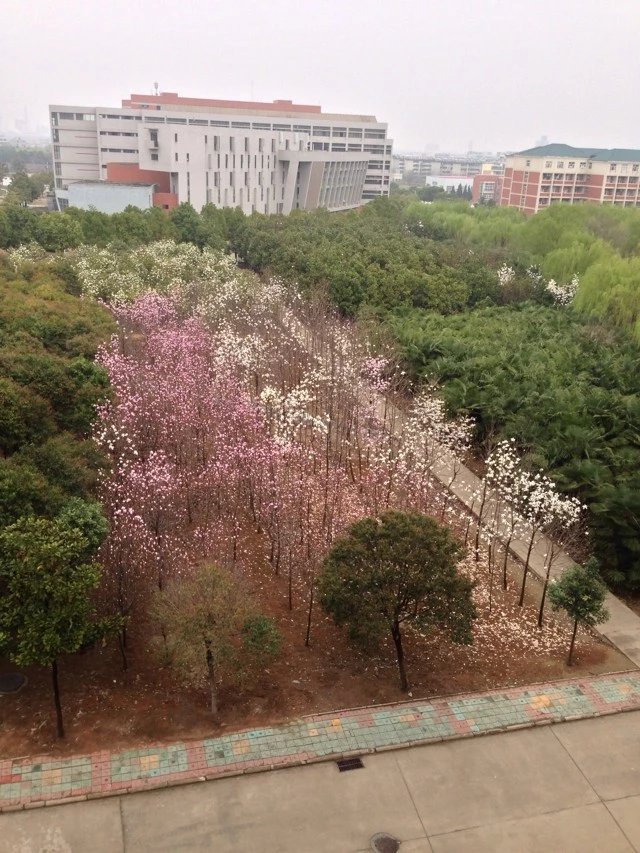 男生学什么专业好学会计好找工作吗?男生学会计有哪些优势?