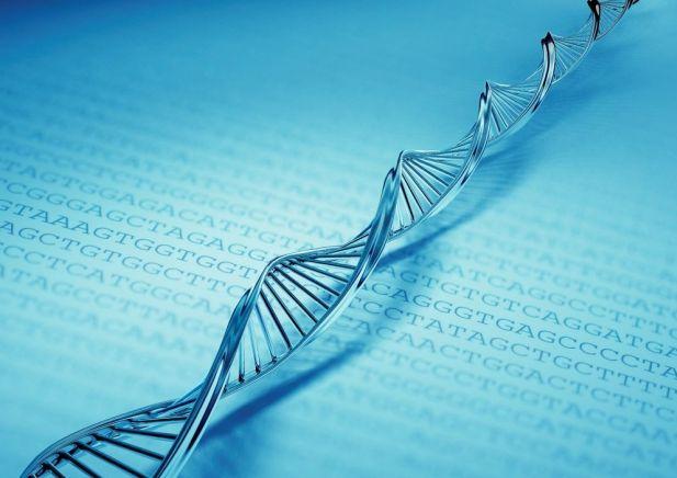 生物科学考研科目有哪些?生物科学专业考研方向哪个好前景如何