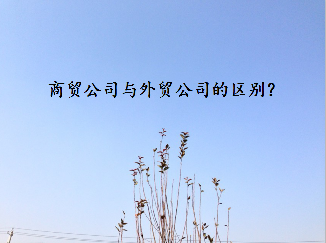 ó׹˾ó˾ĸкһʲôչǰΣ