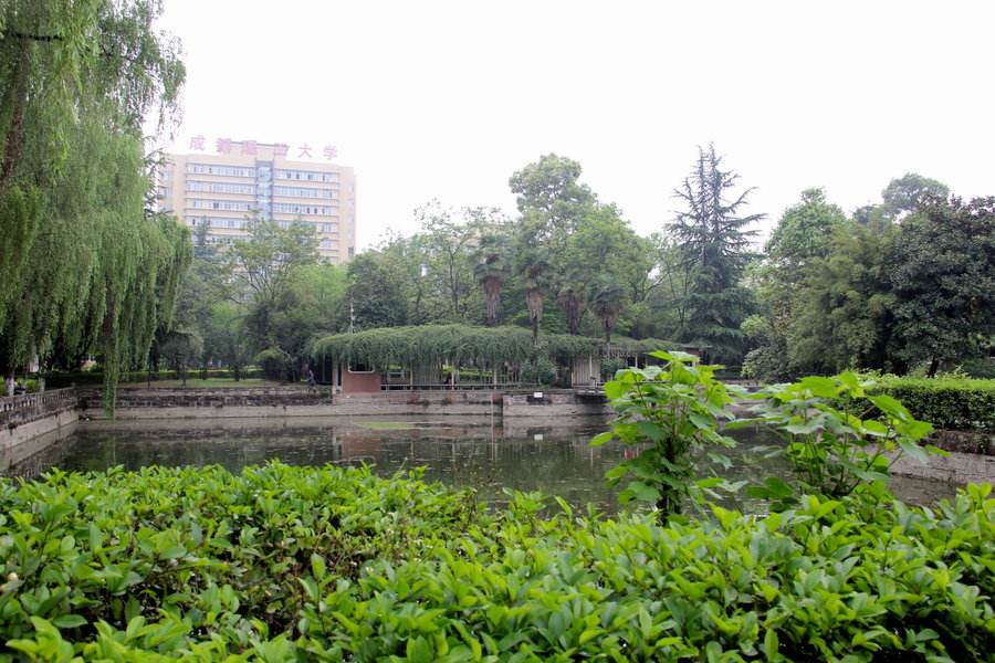 成都理工大学考研难度大吗?2019成都理工大学研究生录取线是多少