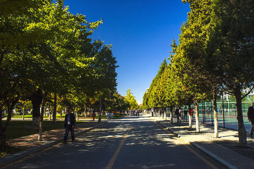 东北大学考研难度大吗科目及要求介绍?2019考研分数线是多少?