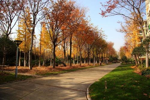 �Ϻ�ʦ����ѧ�컪ѧԺѧ��һ����٣������ַ��������ȫ���ڼ���