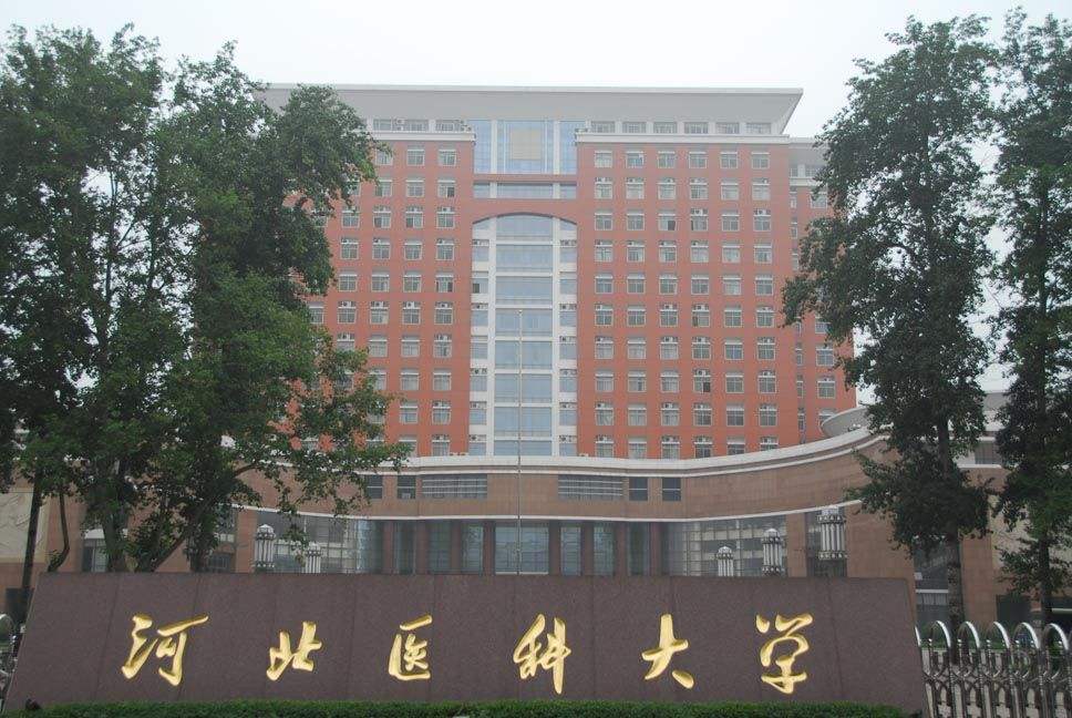 河北医科大学是211吗?属于什么水平?好就业吗?2019分数线
