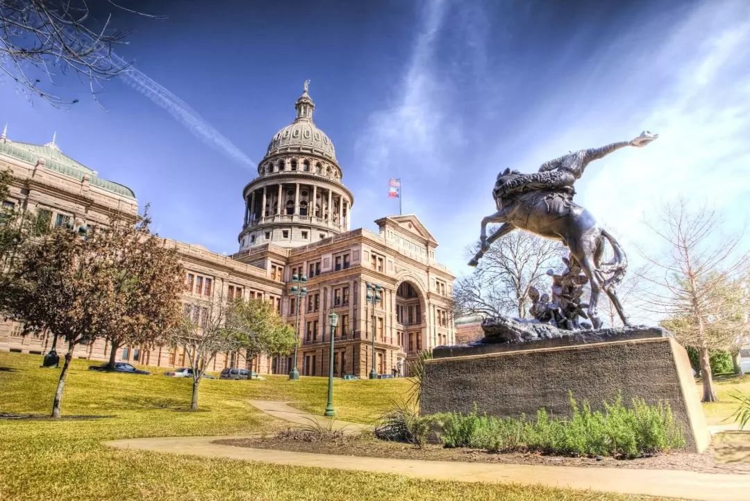 ѧʺʲôרҵѧ𣿶ѧҪ͵רҵЩ