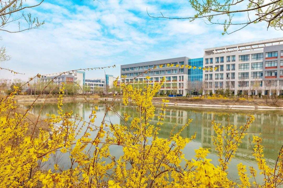 潍坊职业学院是本科or专科口碑如何?学校排名全国第几多少分能上?