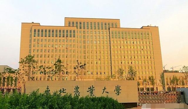 东北农业大学是名校吗211承认吗认可度高吗?学校好不好排名第几
