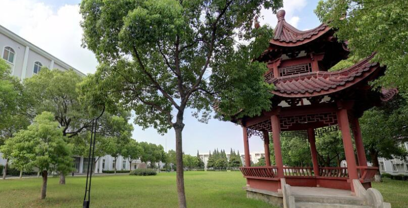 �Ϻ��ȽϺõĴ�רԺУ����Щ���̵��Ϻ����д�רԺУ�������