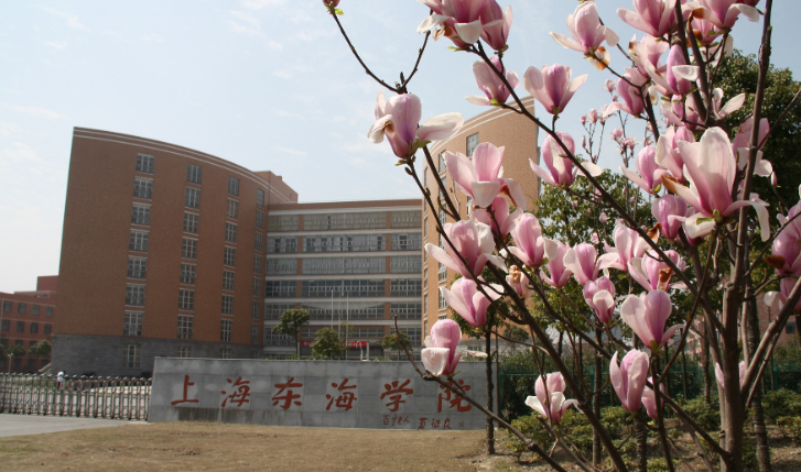 �Ϻ��ȽϺõĴ�רԺУ����Щ���̵��Ϻ����д�רԺУ�������