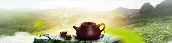 茶艺与茶叶营销专业如何就业方向广吗?开设次此专业的院校有哪些
