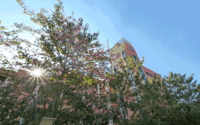 广州南洋理工职业学院怎么样学费一年多少?宿舍条件好不好?