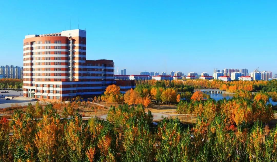 东北石油大学是什么档次社会认可度高吗？东北石油大学优势专业