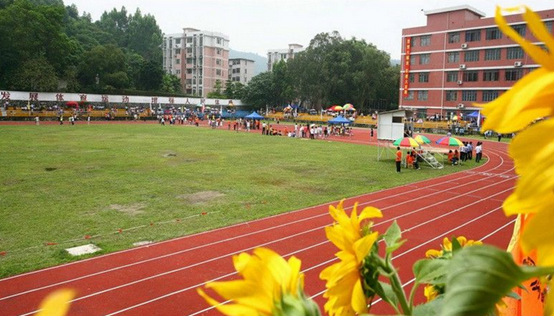 广东生态工程职业学院怎么样?学费多少?是公办大学还是民办大学