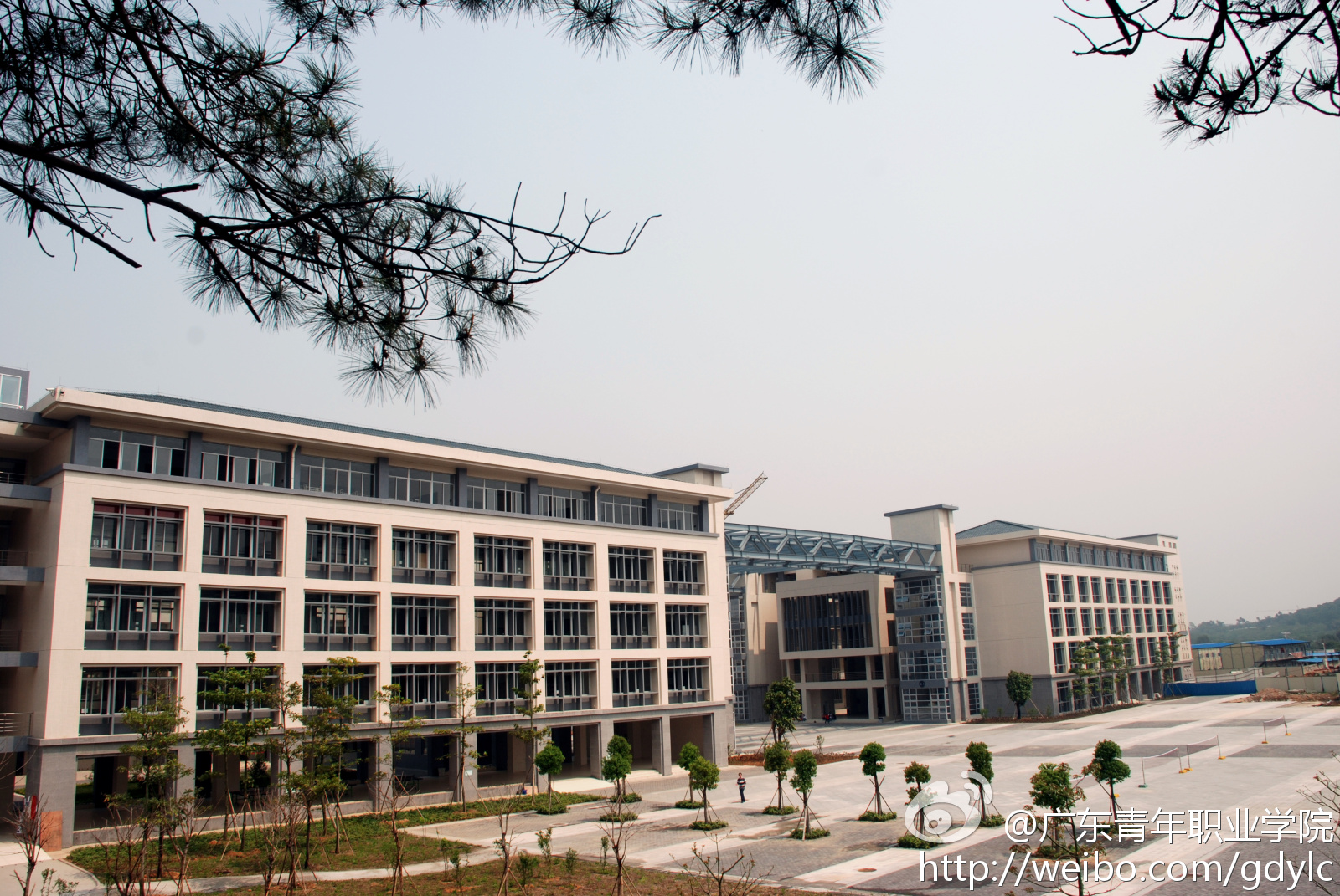 广东青年职业学院好不好排名第几?广东青年职业学院学费多少