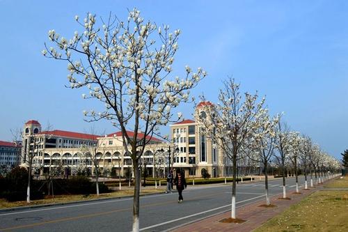 青岛港湾职业技术学院具体地址在哪?王牌专业有哪些学费多少?