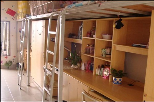 ְҵѧԺôʲôרҵڼ