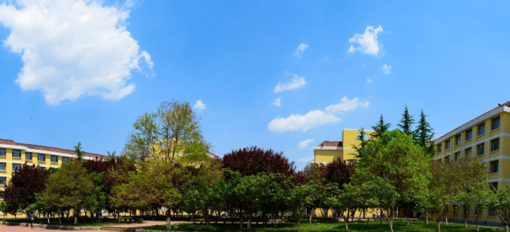 临沂职业学院怎样在山东排名第几?王牌专业是什么?录取分数线高吗
