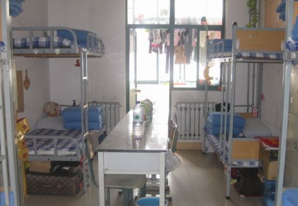 �ӱ����⾭óְҵѧԺ��ô��������������2019��¼ȡ�����߶���