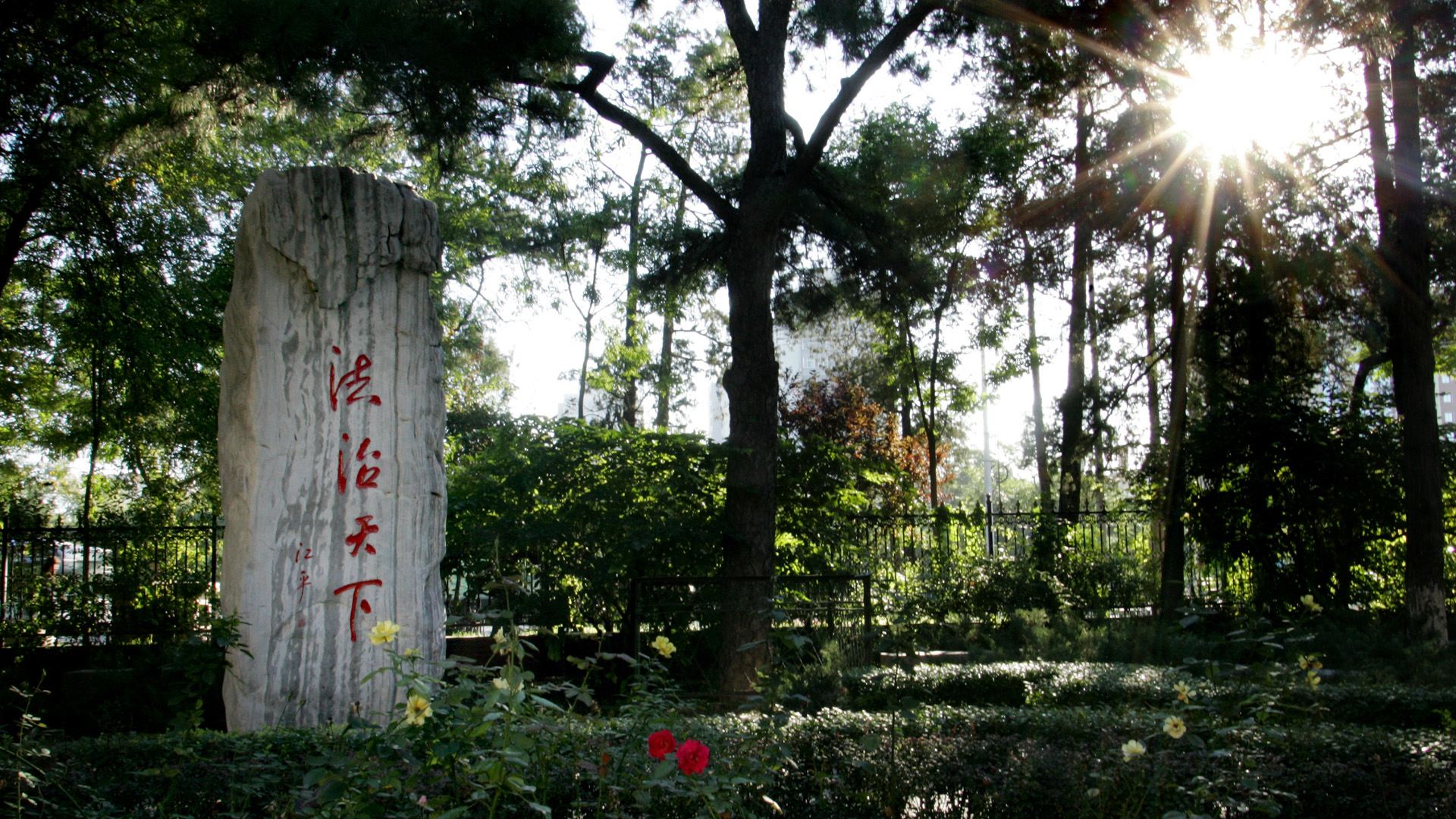 中国政法大学是985吗排名全国第几?具体地址在哪2023年分数线?