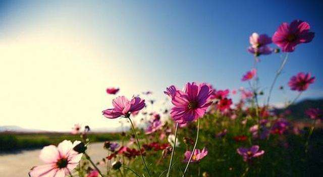 女人致最好自己的句子大盘点,句句经典气质有内涵